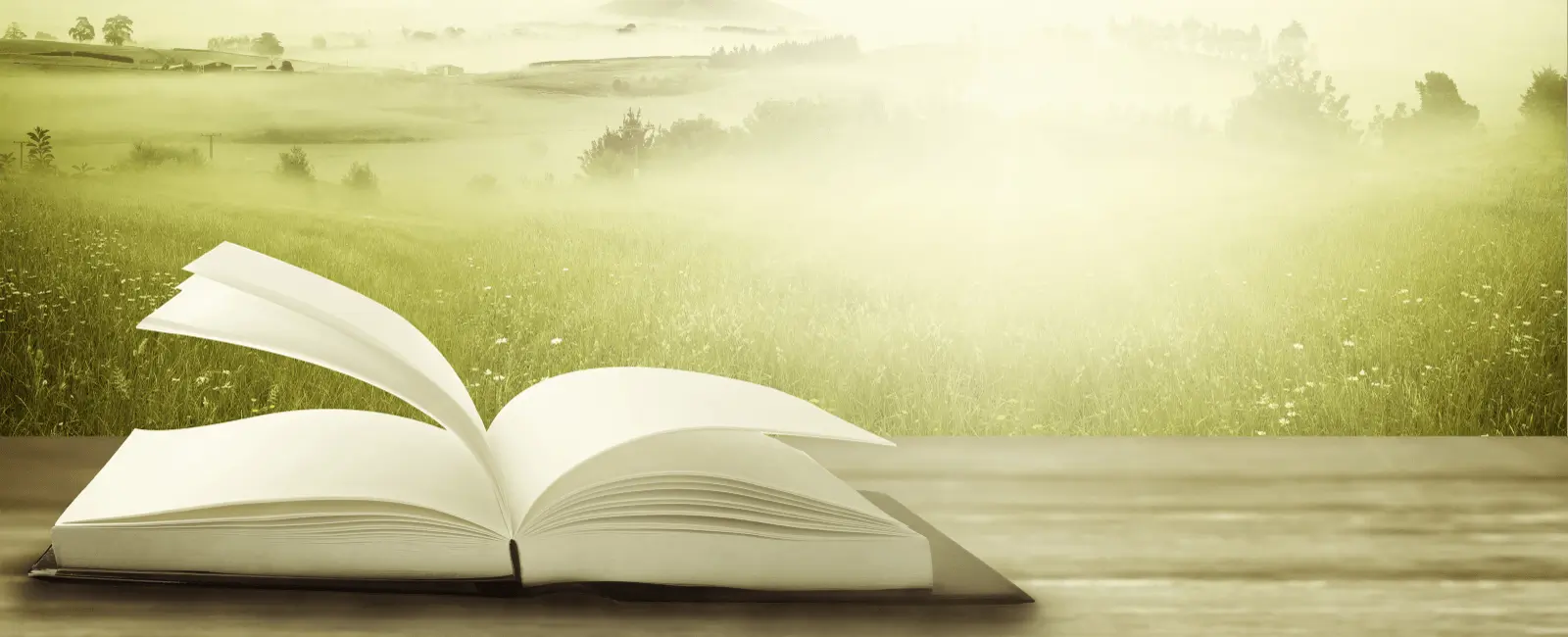 Offenes Buch auf Wiese
